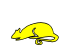 Podgana