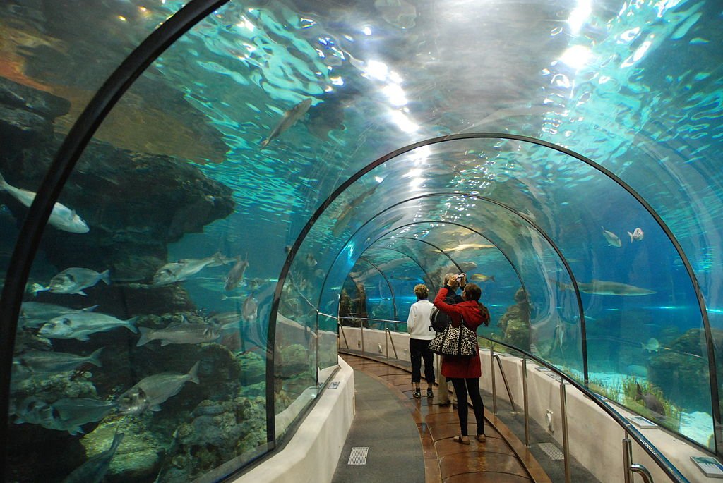 L Aquarium