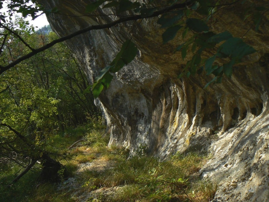 P1290729spodmol