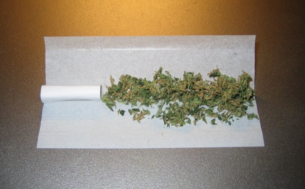 joint