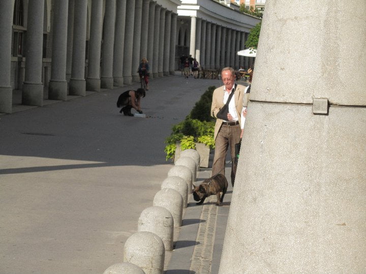 270459_2210701747521_5601284_n