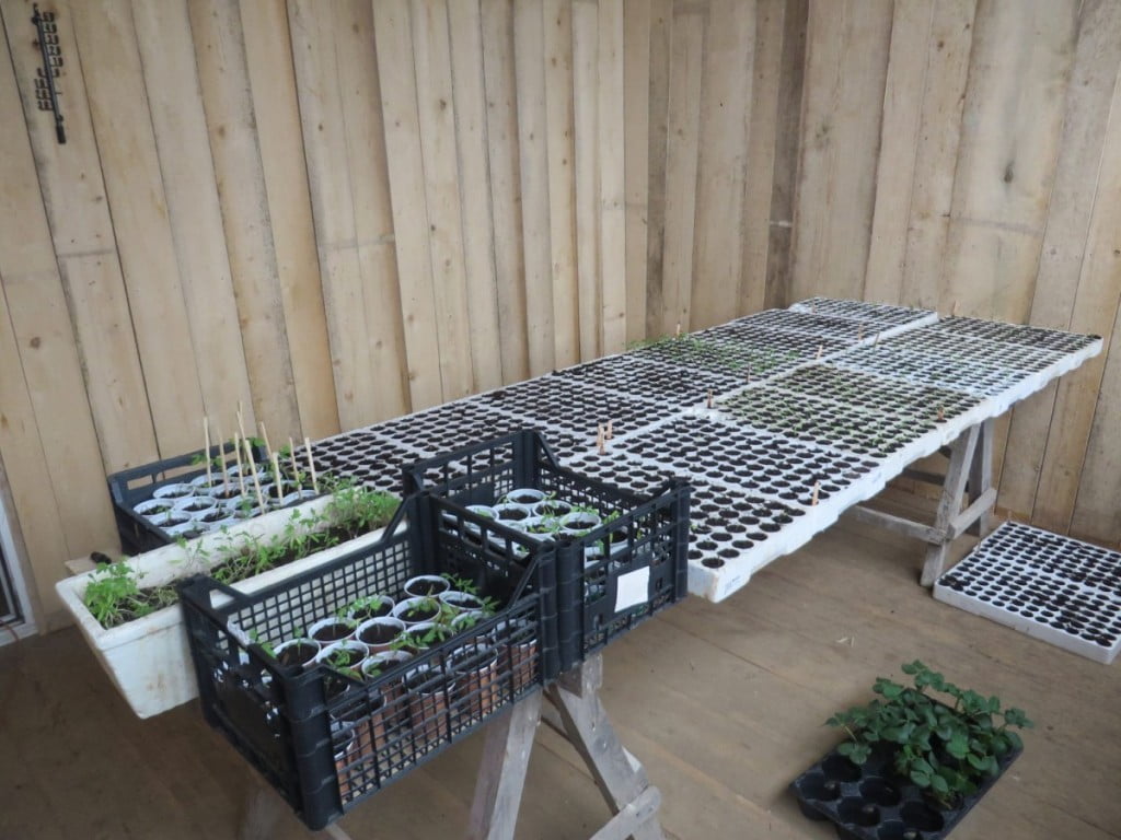 Kmetija Dvornik - inkubator