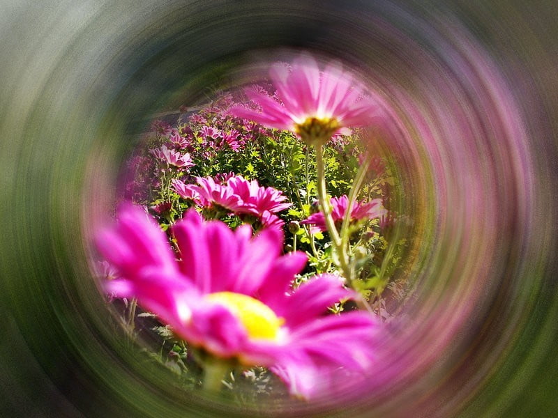 Strah narekuje umu tisto, kar ta trenutno želi slišati