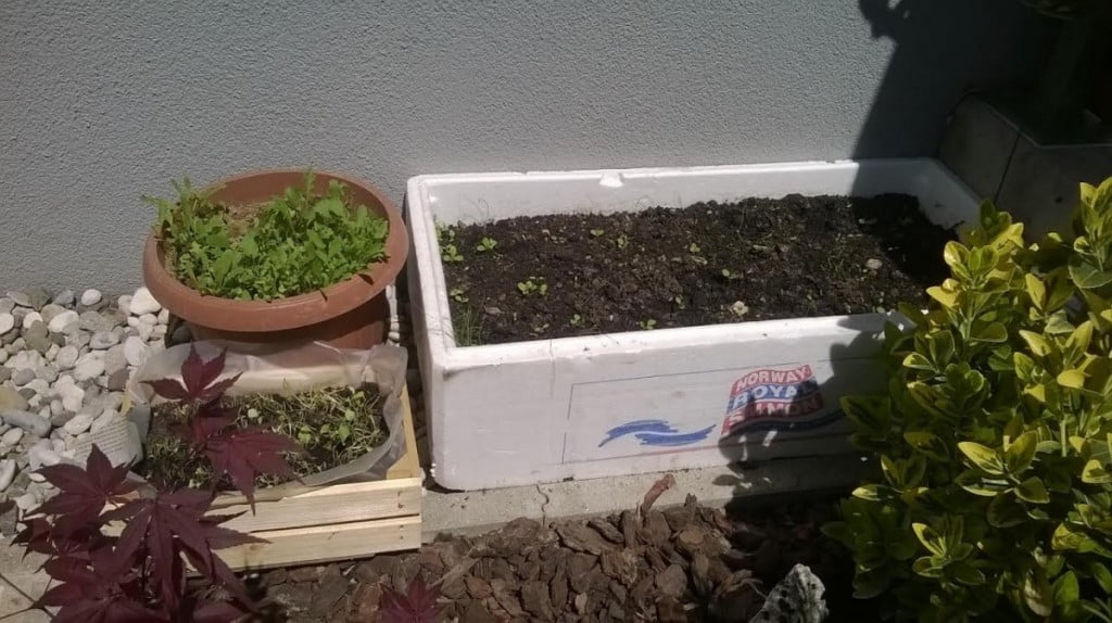 vrtickarji-brez-vrta