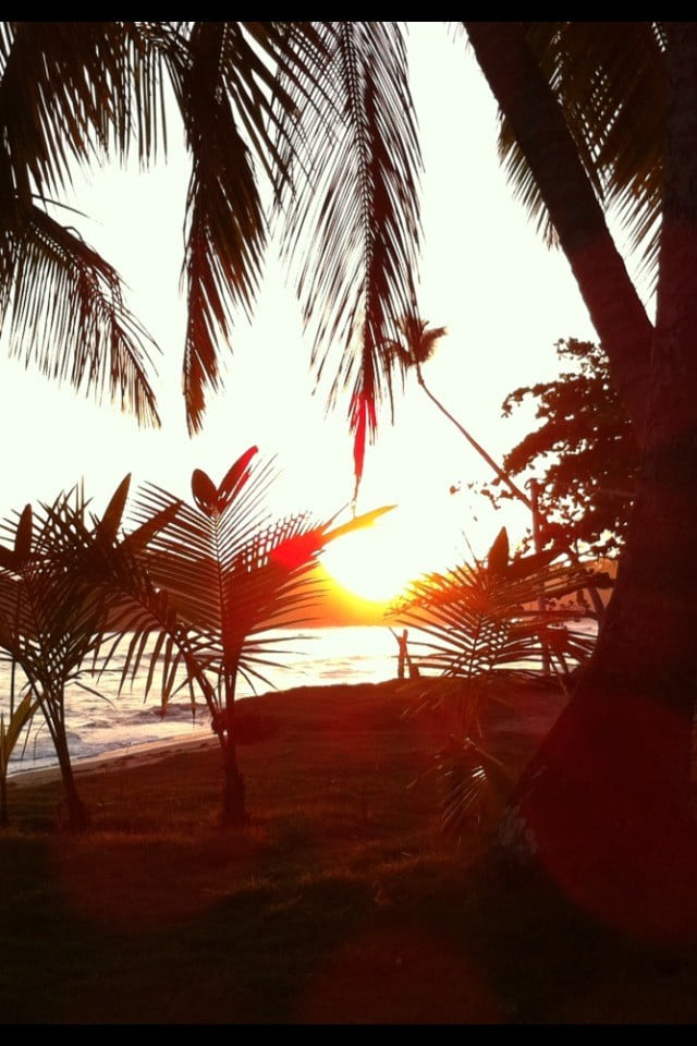 BelaVila-in-zgodnje-vstajanje3