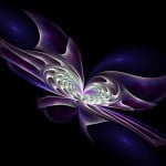 Flower_Power_by_HBKerr