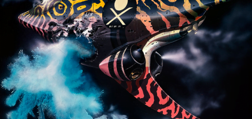 Vesoljska ladja Chriss Foss