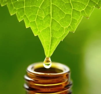 Voda: spomin & homeopatija