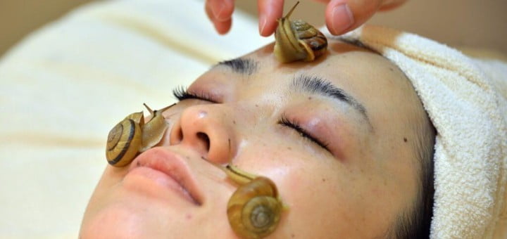 Polži za sijoč obraz