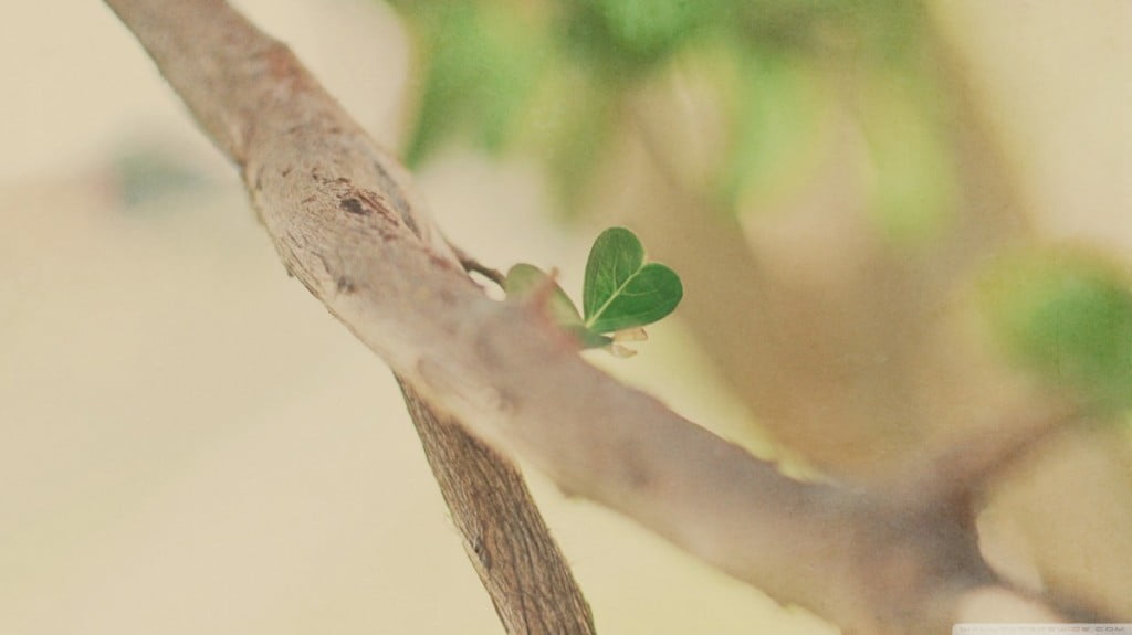 "Kakor znotraj, tako navzven."