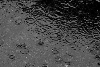 1_ef105ee0ed296190287f645e8a6fc421