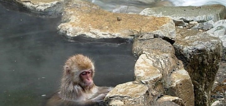 Vprašanja in odgovori o Eboli