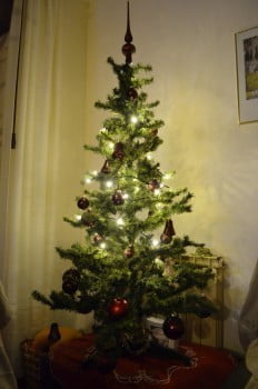 Vsaka jelka ima svojo zgodbo ...