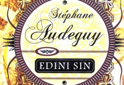 Stéphane Audeguy: Edini sin