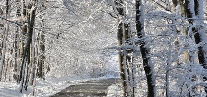 Novoletni seznam zaobljub