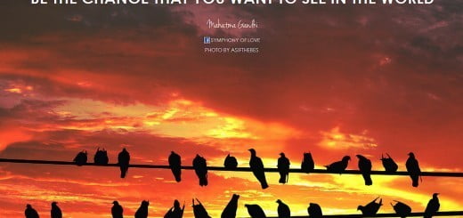 Spremembe - življenjska stalnica