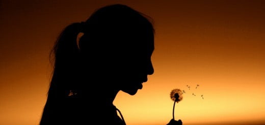 Kaj si resnično želim?