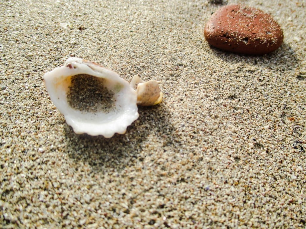 Kako izbrati dober kamp