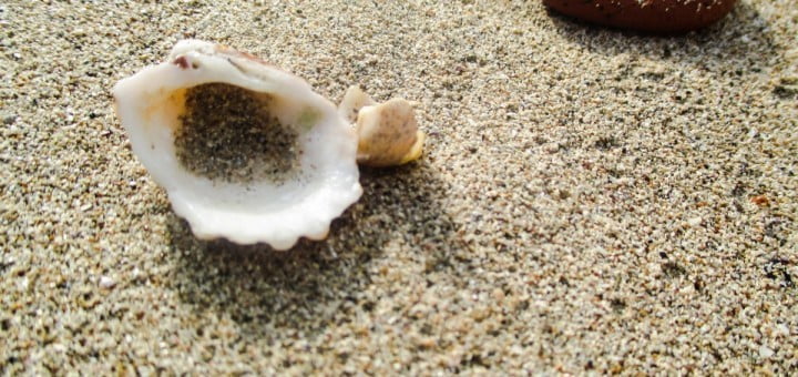 Kako izbrati dober kamp