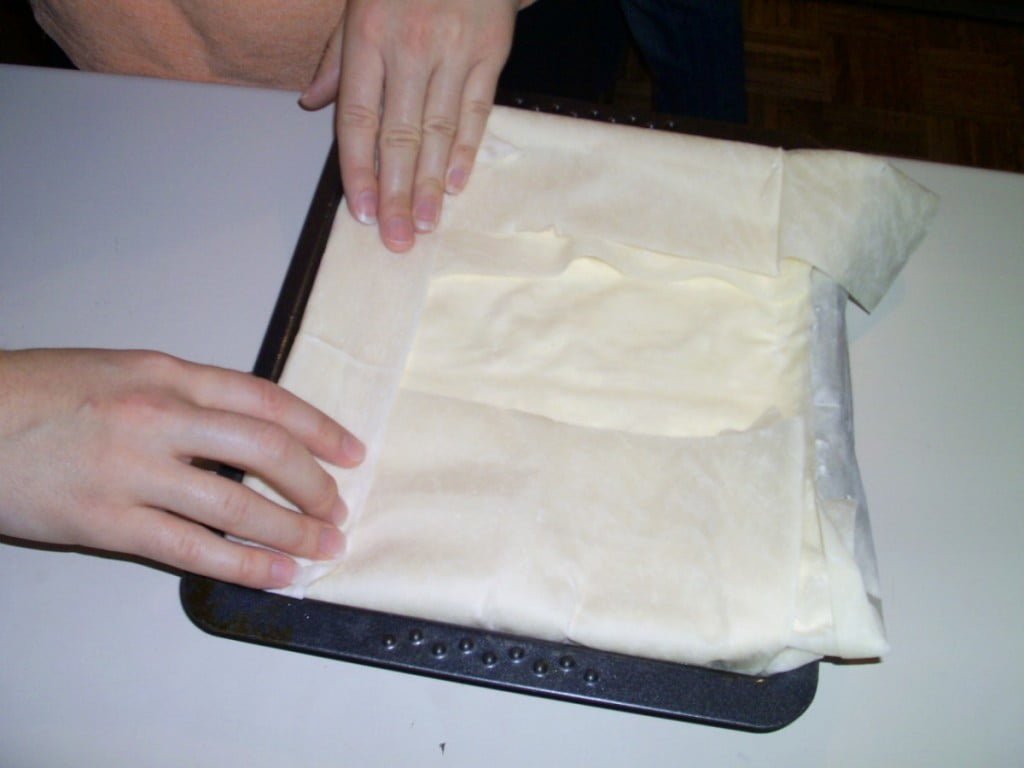 Gibanica "Metuljček"