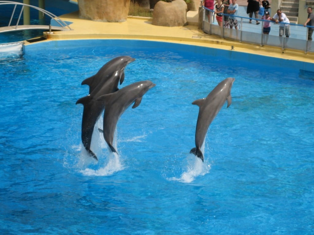 Azurna obala - Barcelona - Mariland