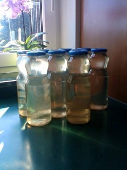 Domači melisin sirup - recept