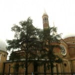Enodnevni izlet: Padova