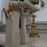 Enodnevni izlet: Padova