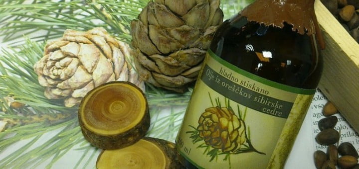 Sibirska cedra, njena energija in Anastazija