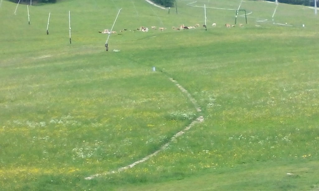 Namig za oddih: Kranjska Gora