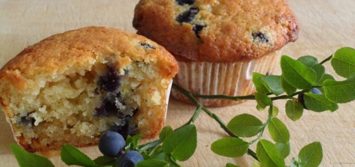 Slastni borovničevi mafini