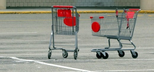 Moj način nakupovanja živil