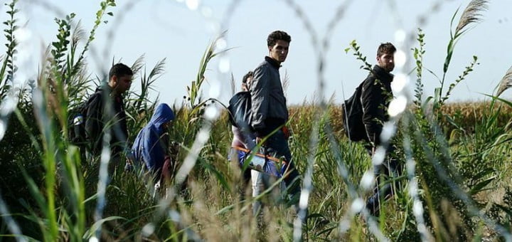 Moj pogled na begunsko krizo