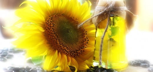 Top naravni pripravki za zimsko nego kože