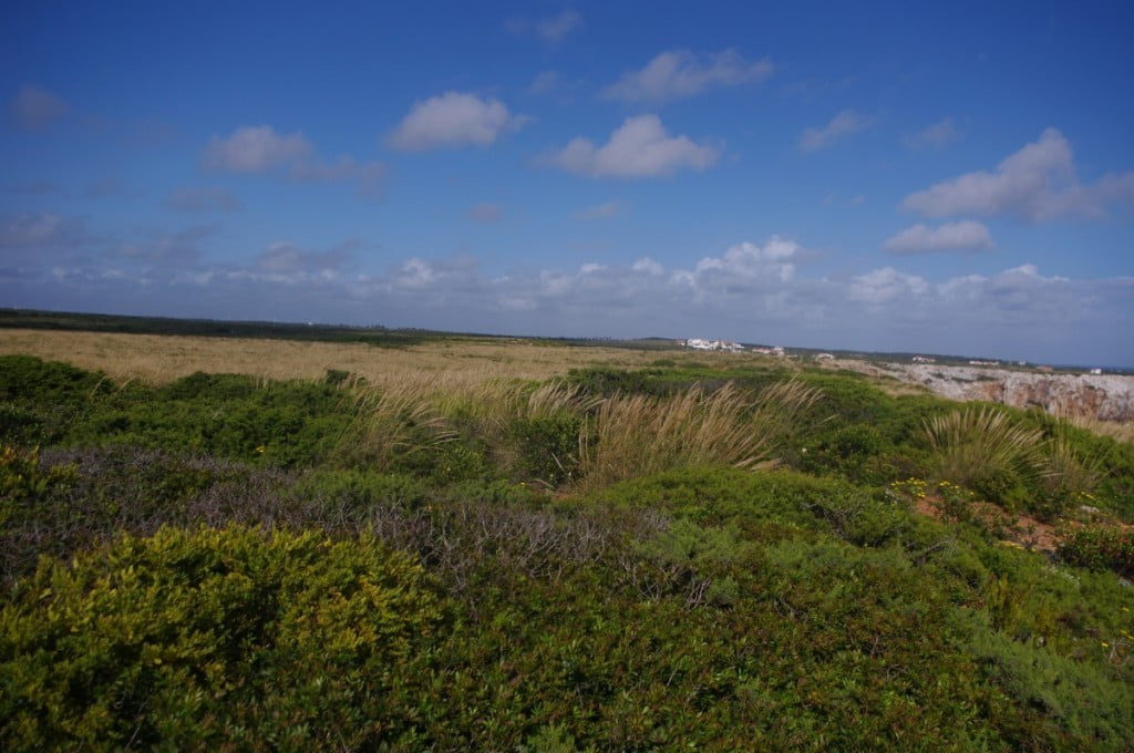 Sagres, Portugalska - narava