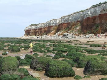 klif je pravi raj za geologe in paleontologe