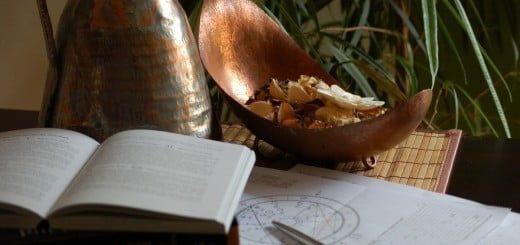 Vedski horoskop 2017 - seči višje