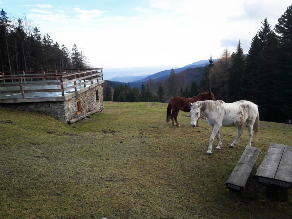Čez Pohorje v treh dneh