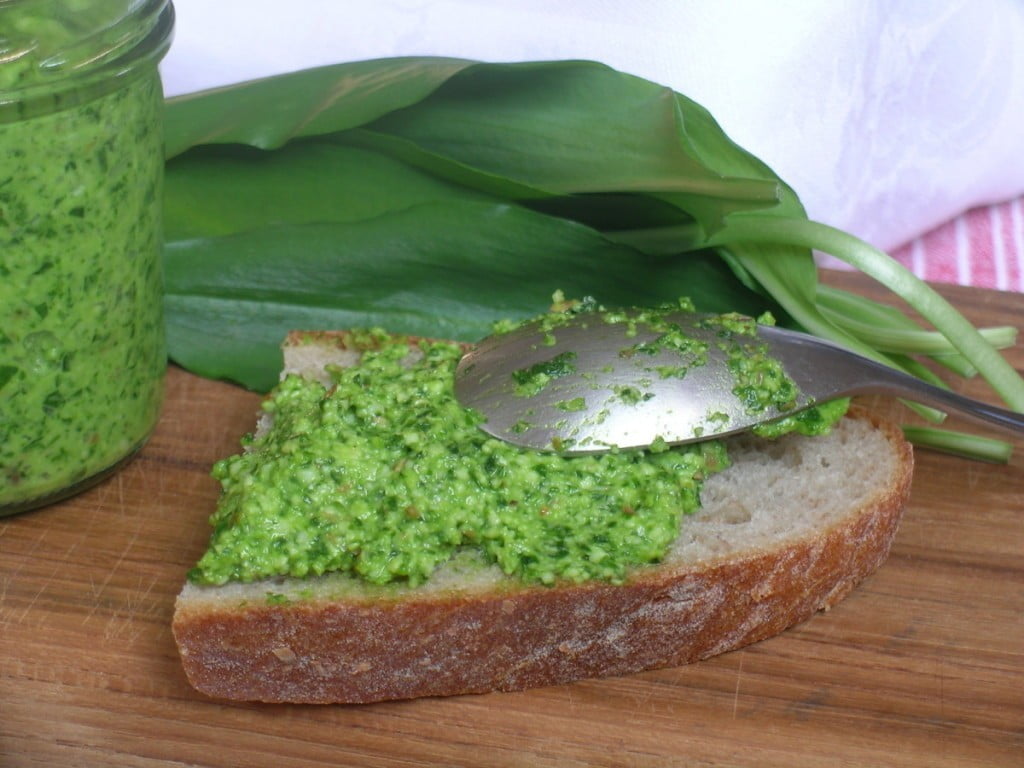 Pomladno čiščenje telesa z divjo hrano Pomladno čiščenje telesa z divjo hrano