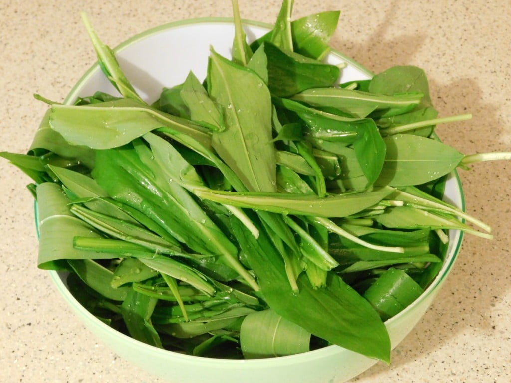 cemazev-pesto-z-orehi