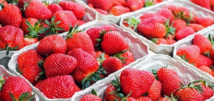 Jagode - najbolj priljubljen sadež vseh generacij