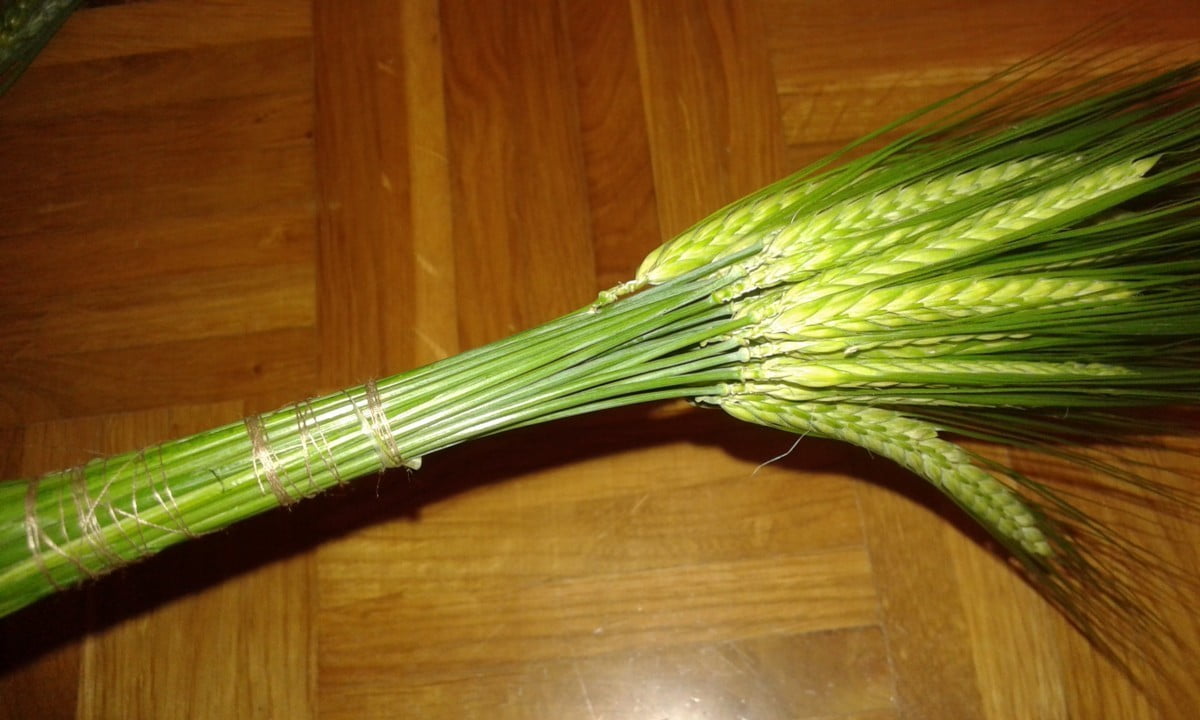 naredi-sam-sopek-za-vrata