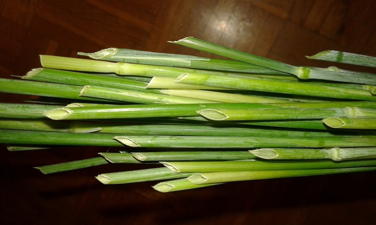 naredi-sam-sopek-za-vrata