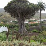 Tenerife - podzemlje Bele gore, vetrovna lavina cev
