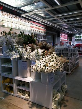 Ideja za izlet: Tržaški zaliv