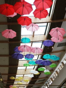 Ideja za izlet: Tržaški zaliv