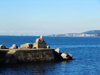 Ideja za izlet: Tržaški zaliv