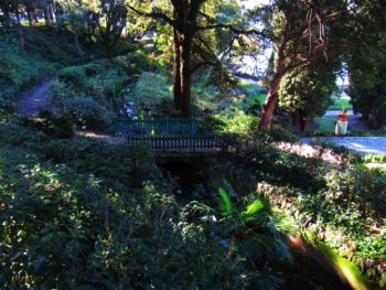 Ideja za izlet: Tržaški zaliv