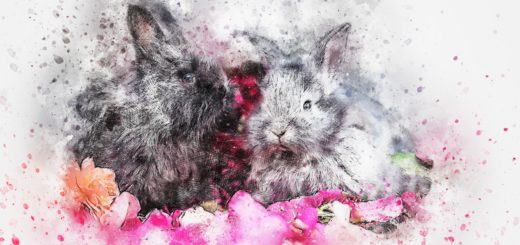 Kitajski horoskop: Zajec