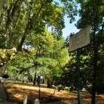 Ideja za izlet: Rim
